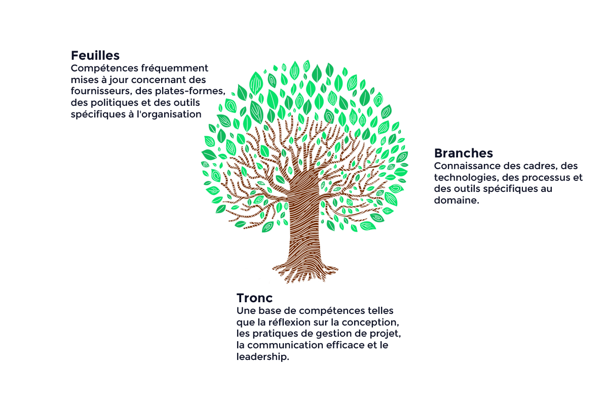 un modèle de développement des compétences en forme d'arbre