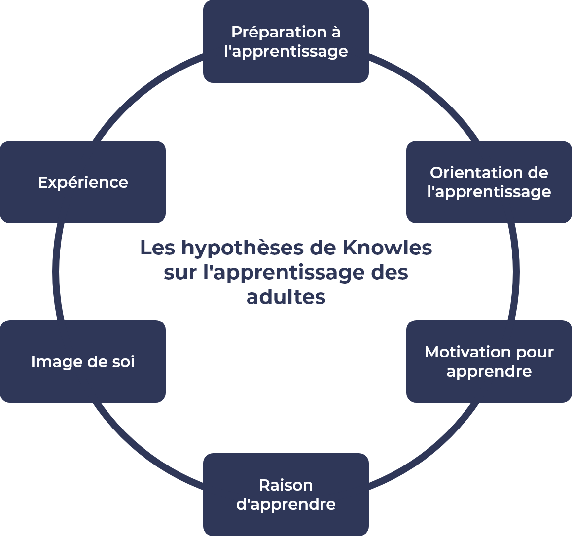 Hypothèses de Knowles