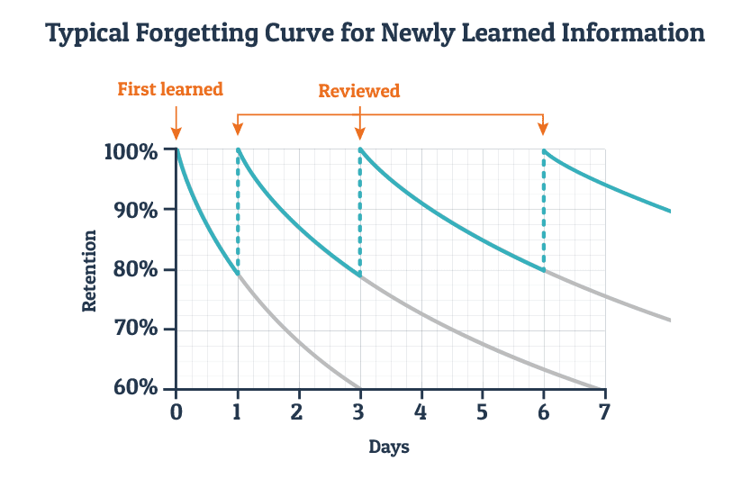 Typical forgetting curve for newly learned information